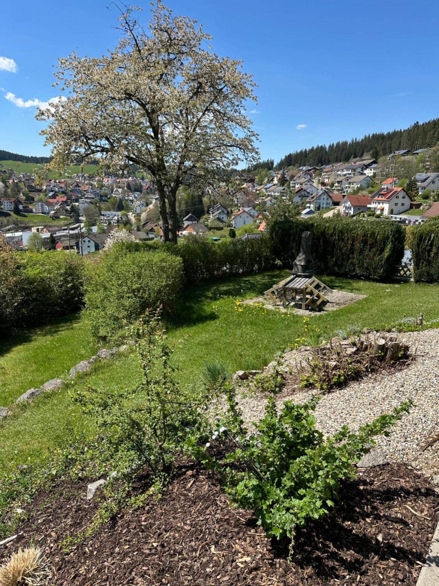 Apartamento Sonneck Schonach Schonach im Schwarzwald Exterior foto